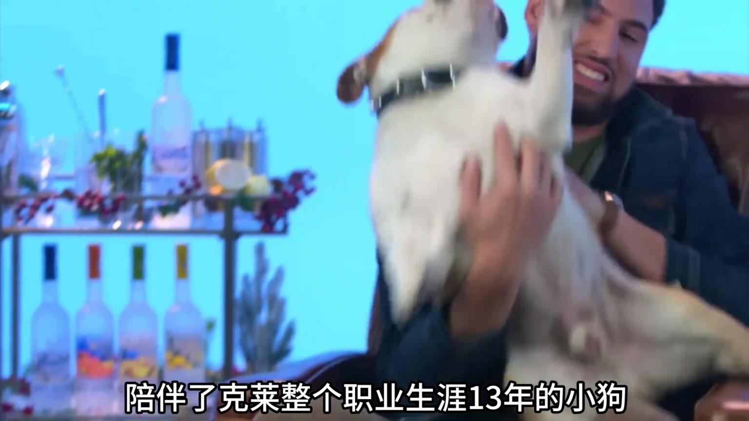 陪伴克萊13年的小狗去世了，不敢相信克萊得多么傷心